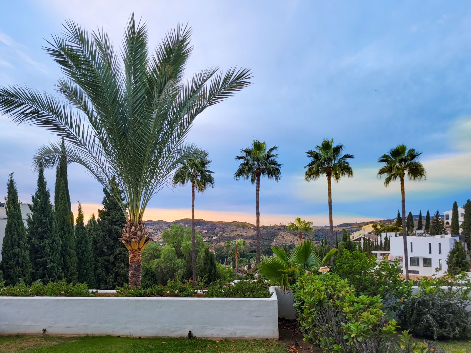 Mediterranean villa garden with palm trees at dusk